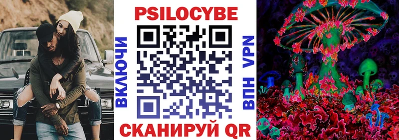 дарнет шоп  Осташков  Галлюциногенные грибы мухоморы 